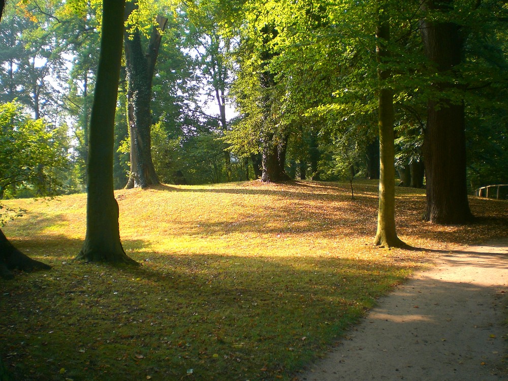 Morgens im Branitzer Park