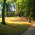 Morgens im Branitzer Park