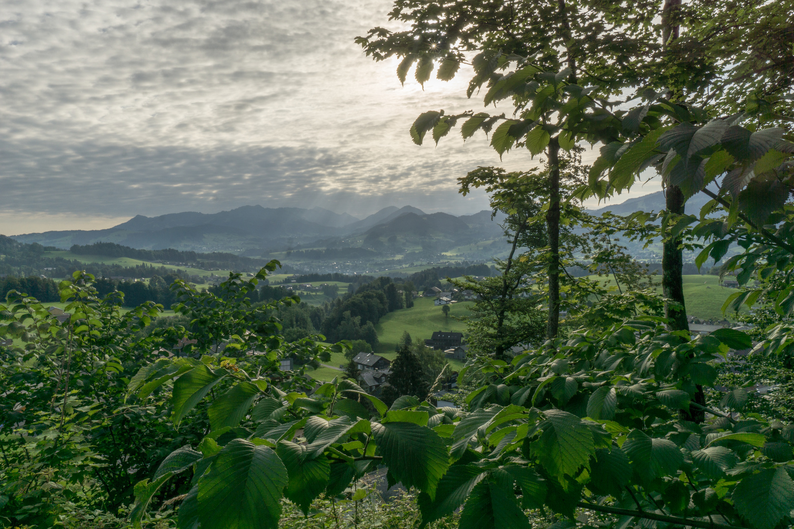 Morgens im Bregenzerwald