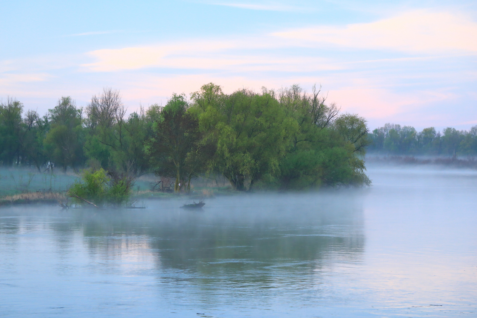 Morgens im Donaudelta