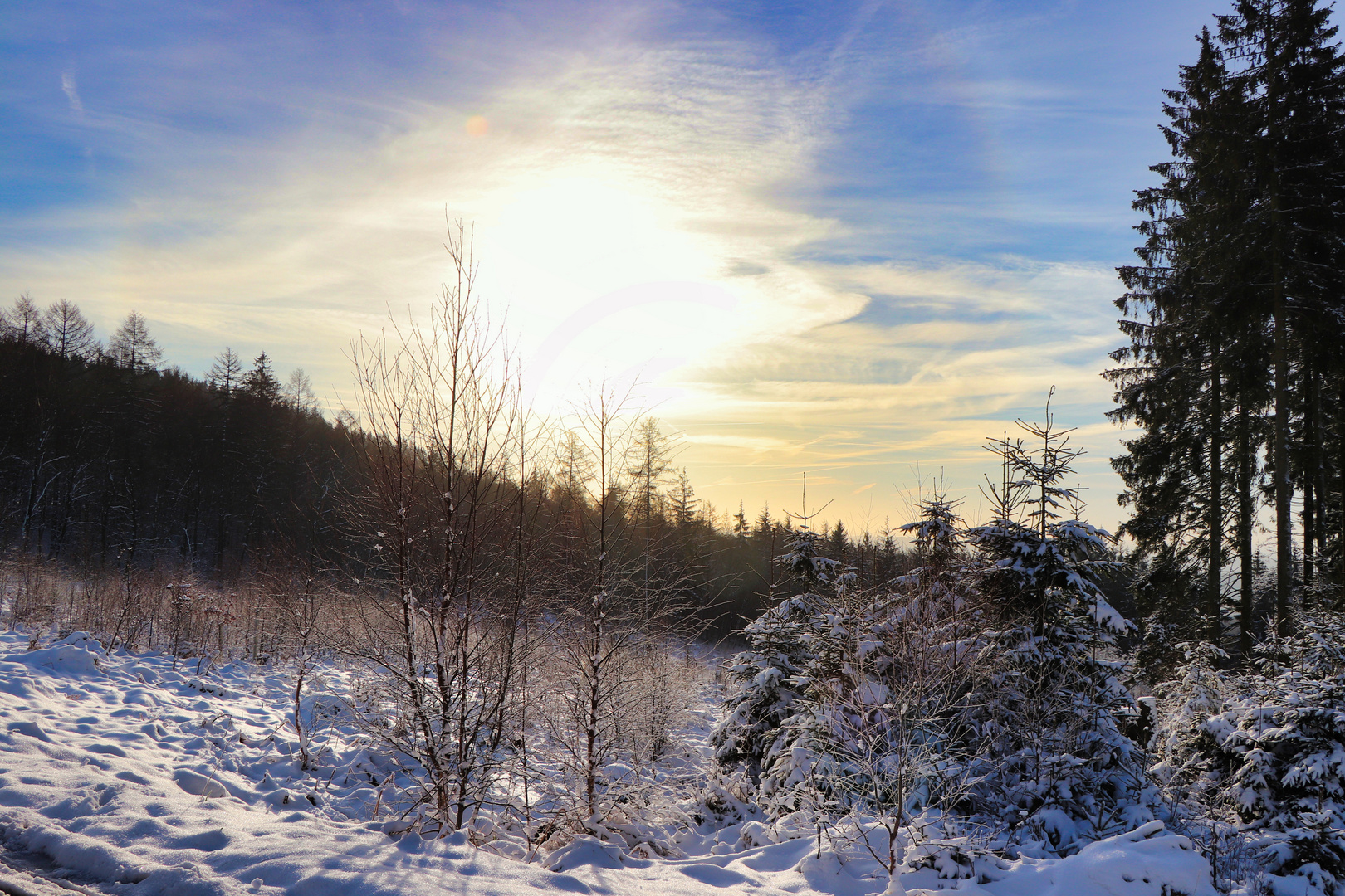 Morgens im Ebbegebirge