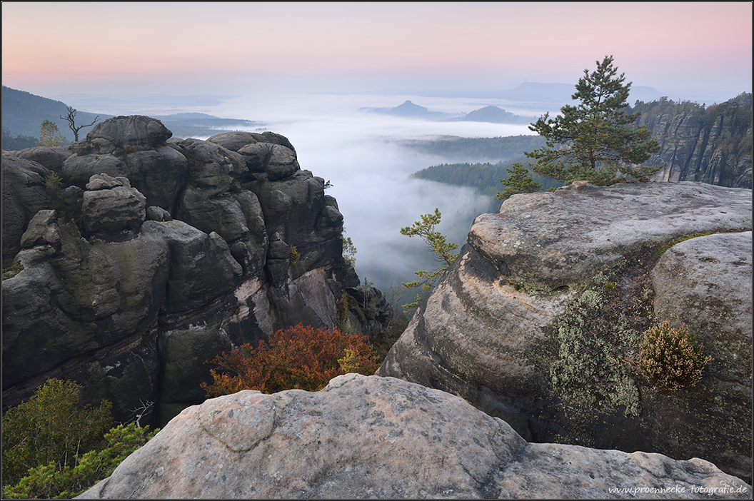 Morgens im Elbsandstein