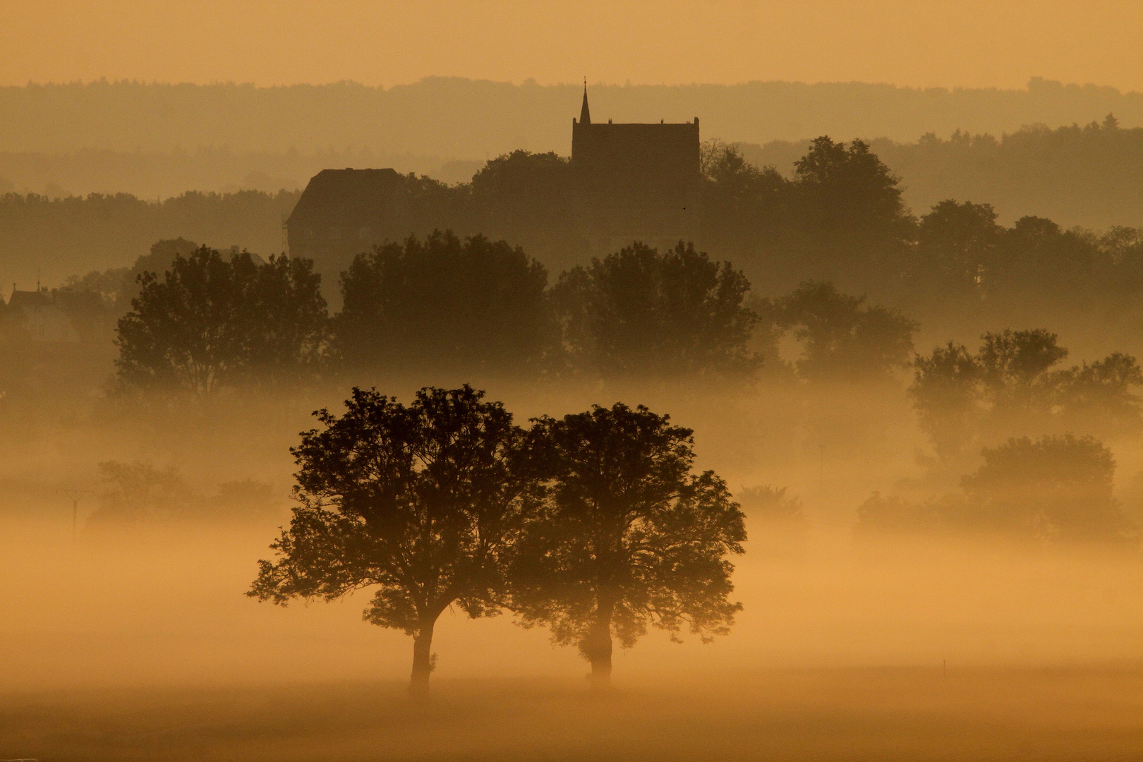 Morgens im Feld