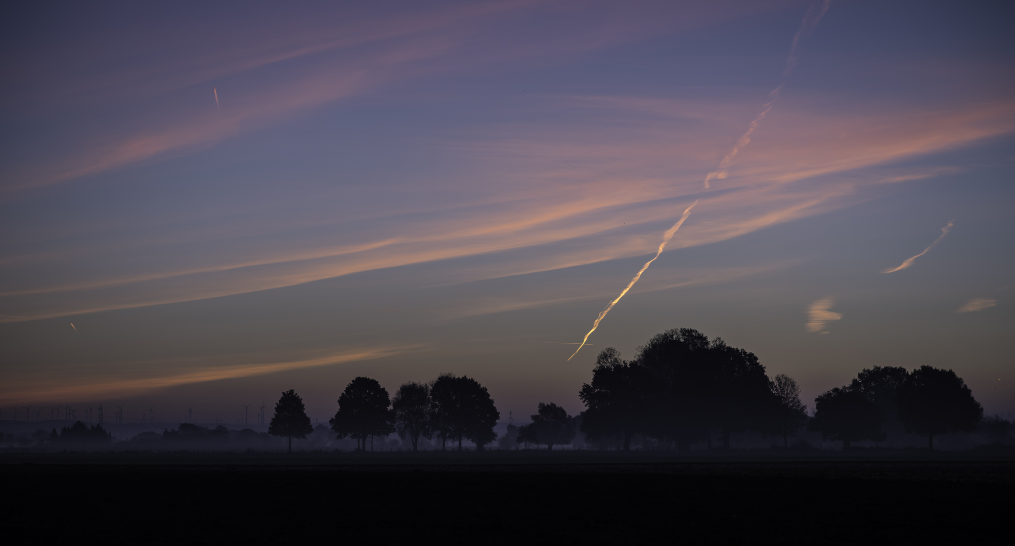 Morgens im Feld