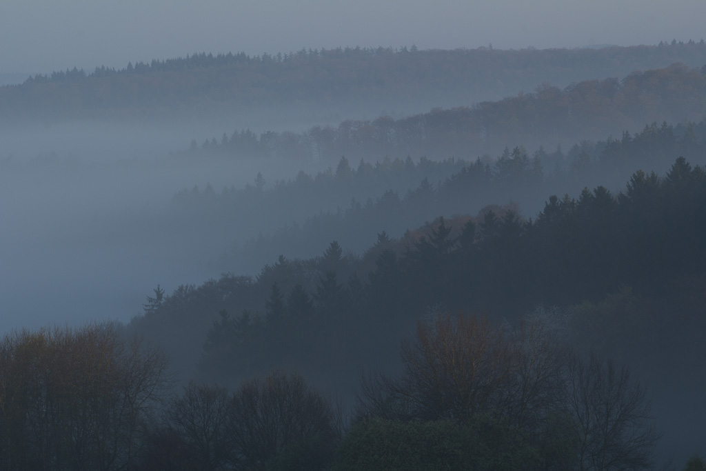 Morgens im Fischbachtal