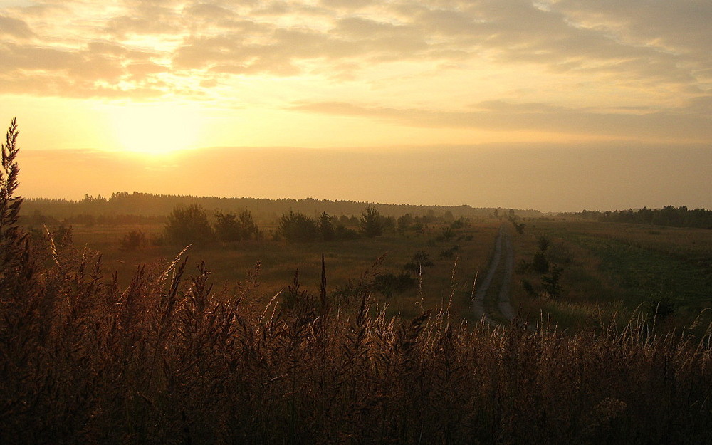 morgens im Forst Gut Köckern