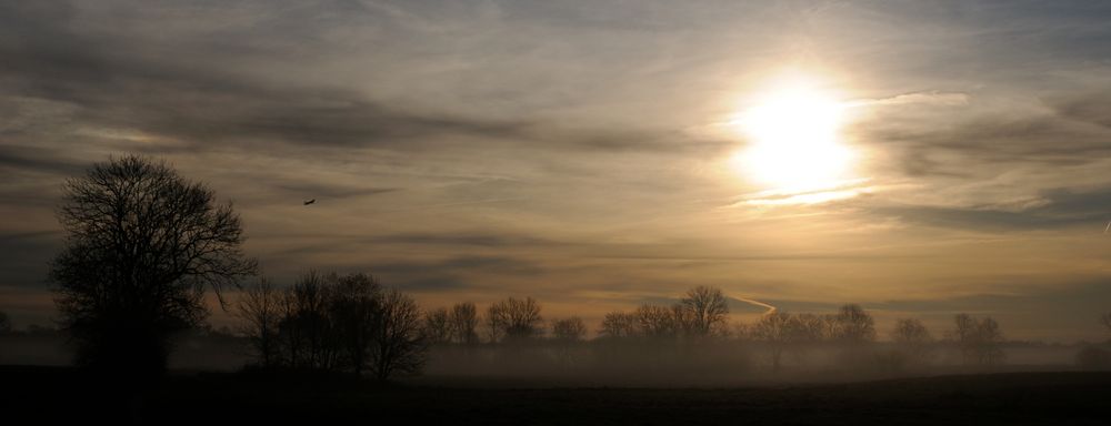 Morgens im Freisinger Moos-5