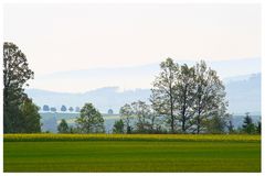 Morgens im Frühling ...