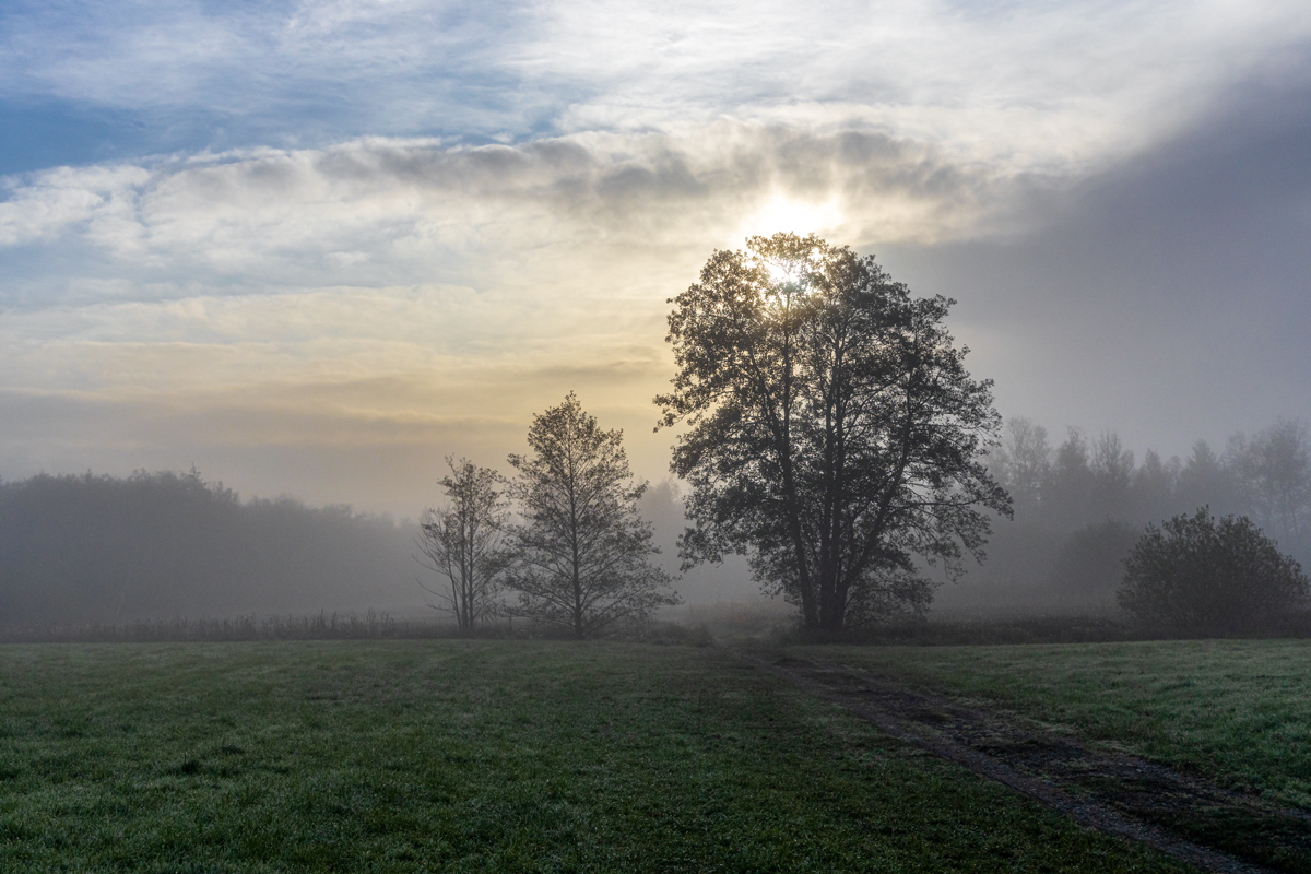 Morgens im Fünfseenland