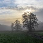 Morgens im Fünfseenland