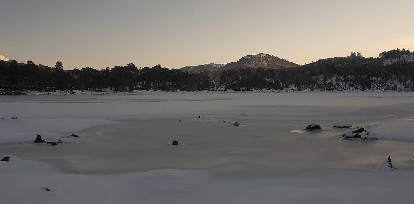 morgens im glen affric ......