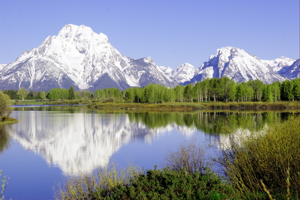 Morgens im Grand Teton NP