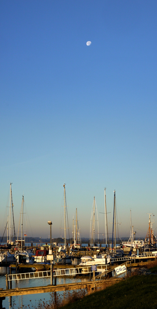 Morgens im Hafen