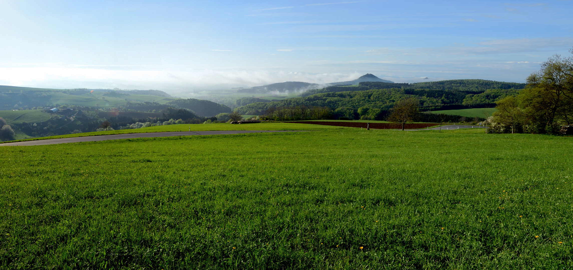 Morgens im Hegau