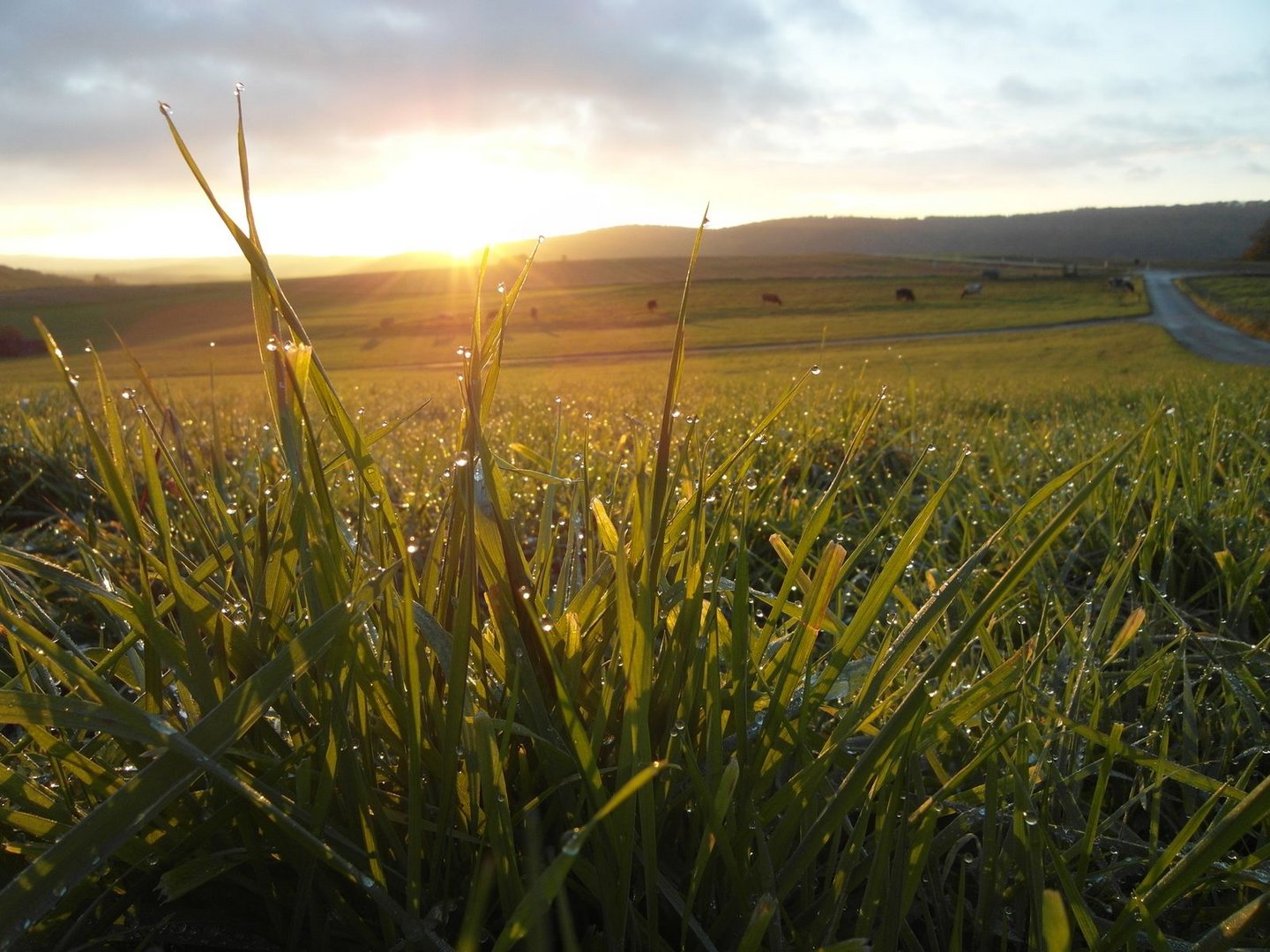 Morgens im Herbst in der Eifel