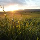 Morgens im Herbst in der Eifel