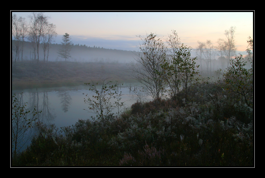 Morgens im Hochmoor 6 ....