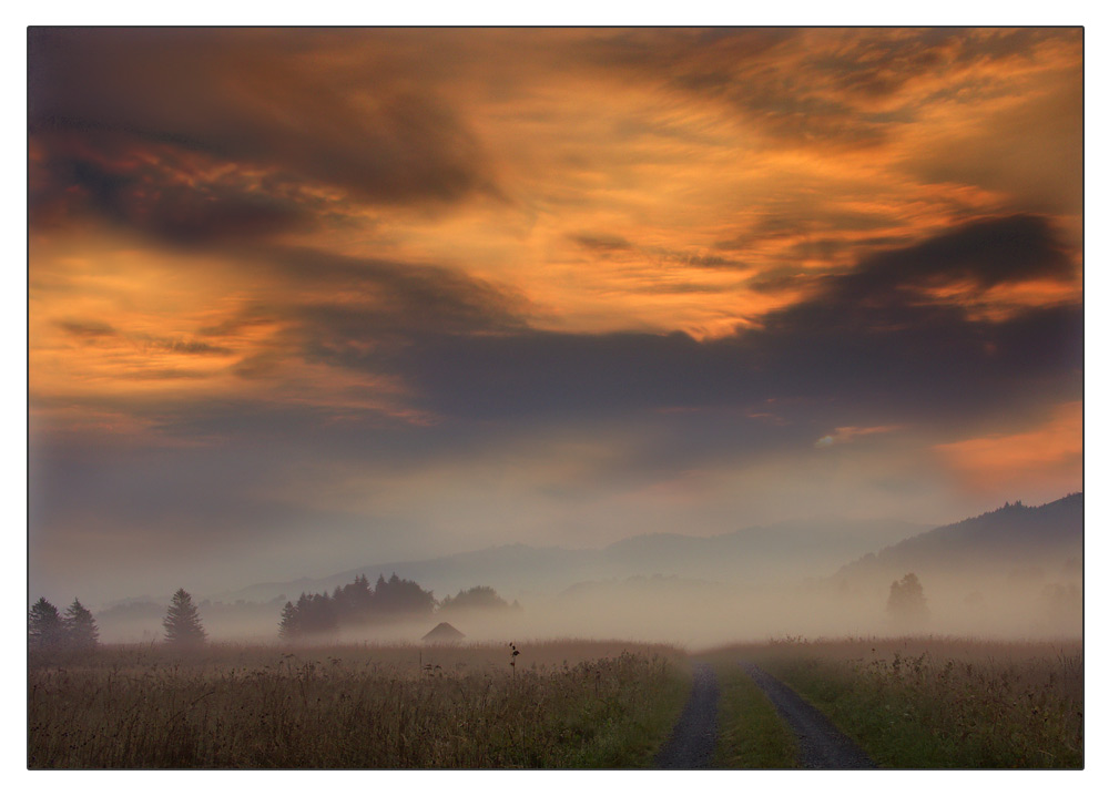 Morgens im Hochmoor