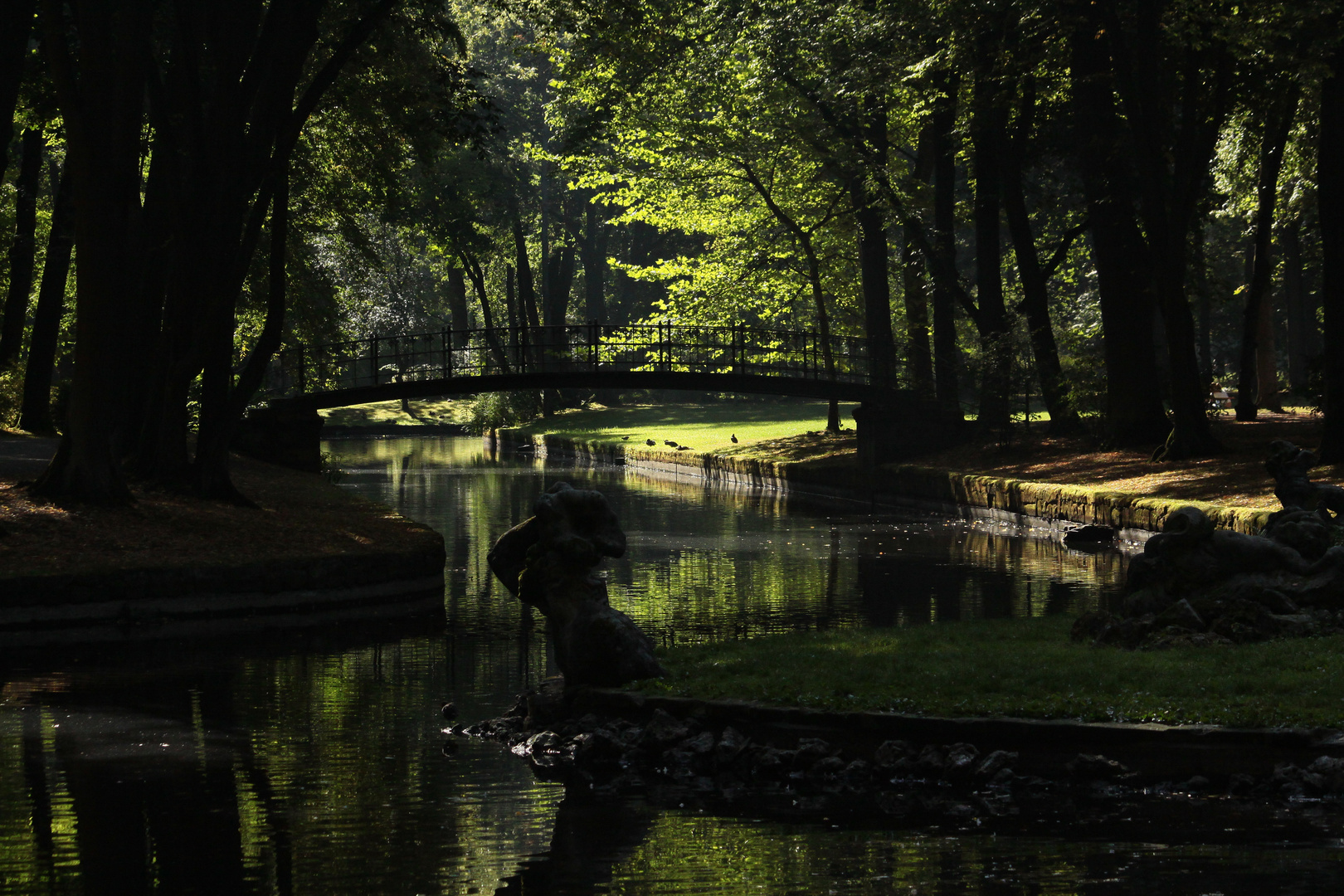 Morgens im Hofgarten.....