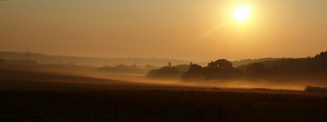 Morgens im Hunsrück