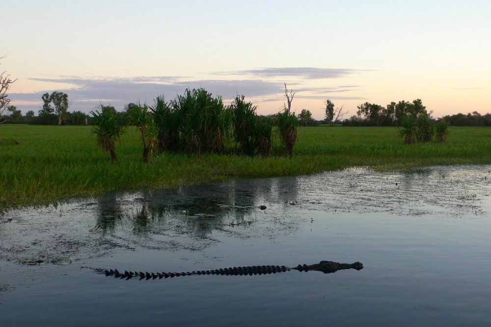 Morgens im Kakadu National Park, Australien