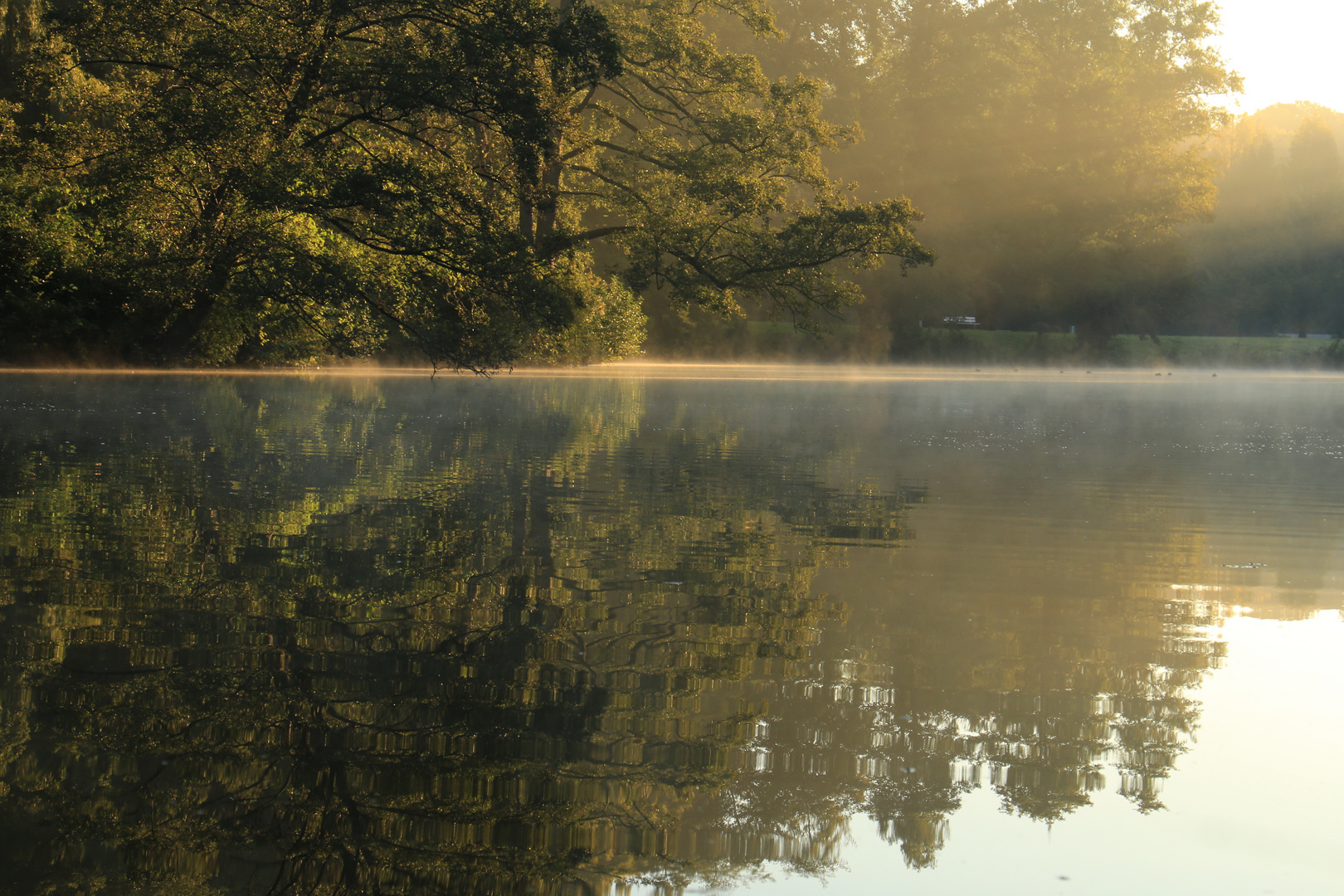 Morgens im Kurpark