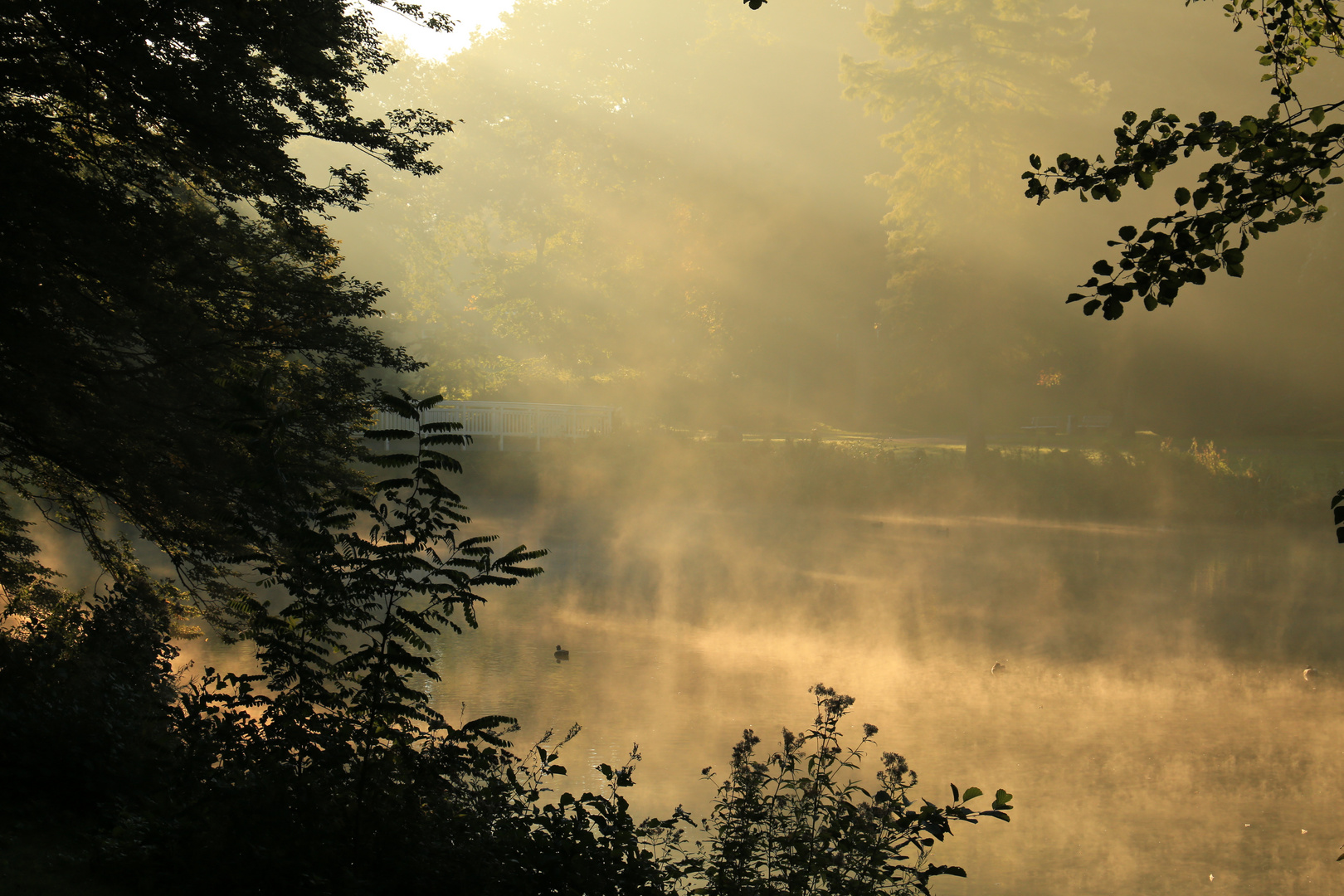 Morgens im Kurpark 2