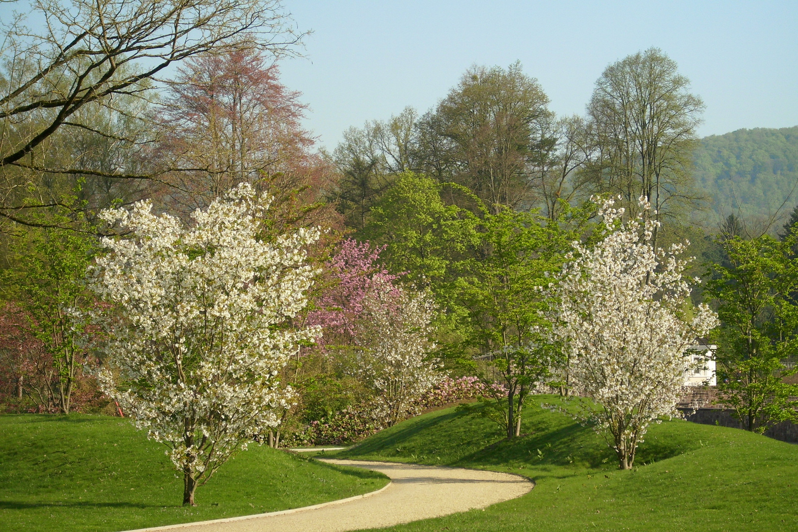 Morgens im Kurpark2