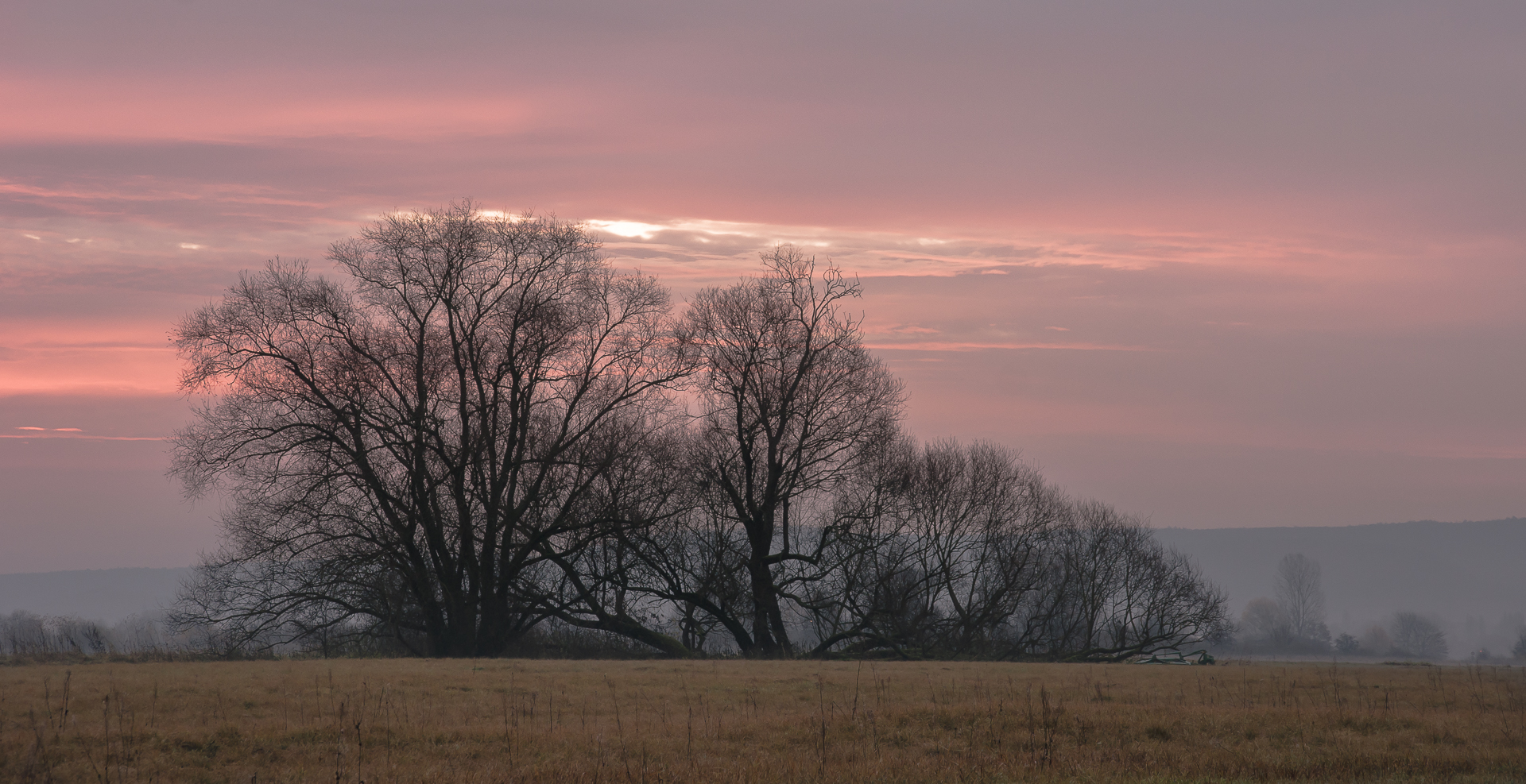 Morgens im Maintal