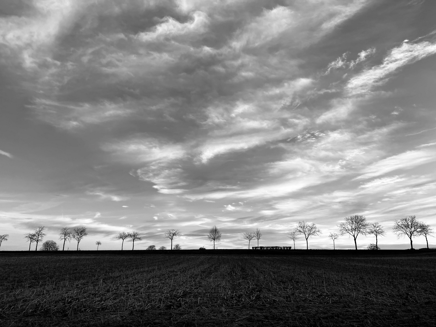 Morgens im Markgräfler Land