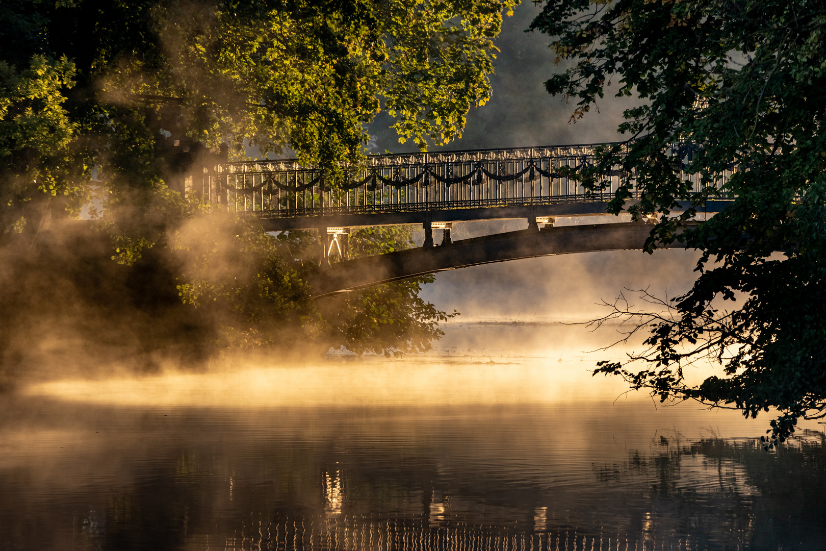 Morgens im Mirower See