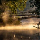 Morgens im Mirower See