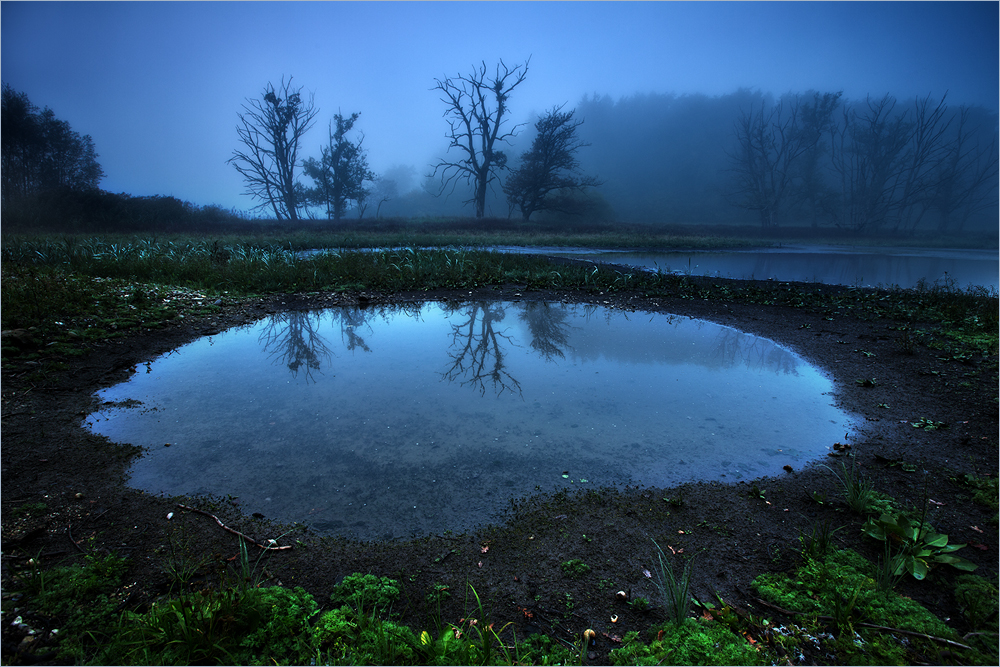 Morgens im Moor