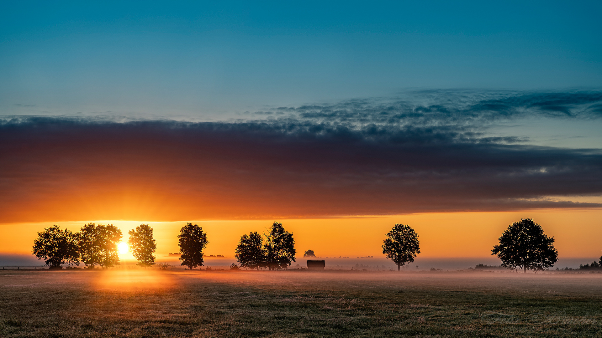 Morgens im Moor