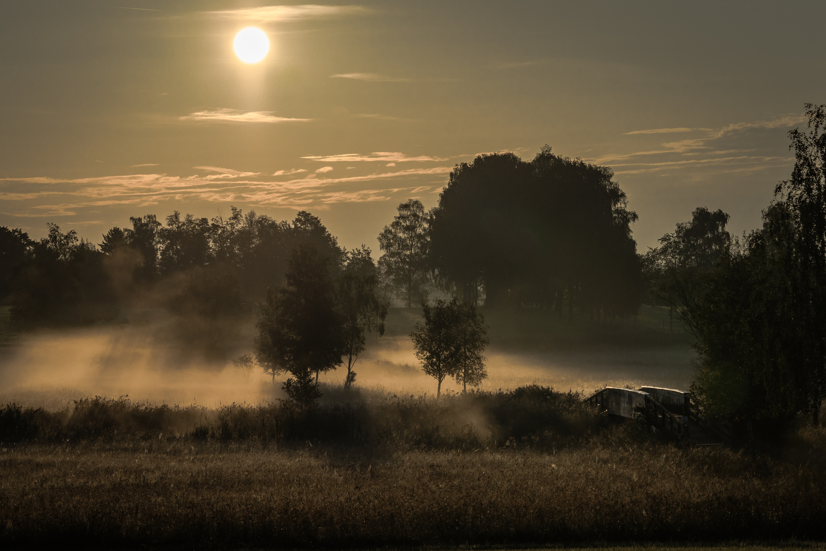 Morgens im Moor