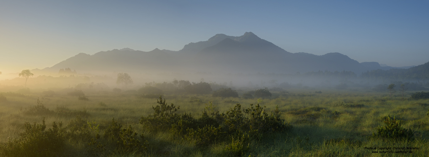 Morgens im Moor