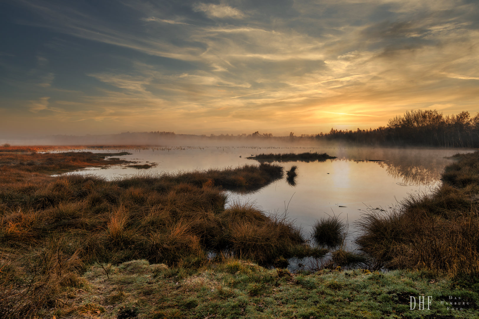 Morgens im Moor