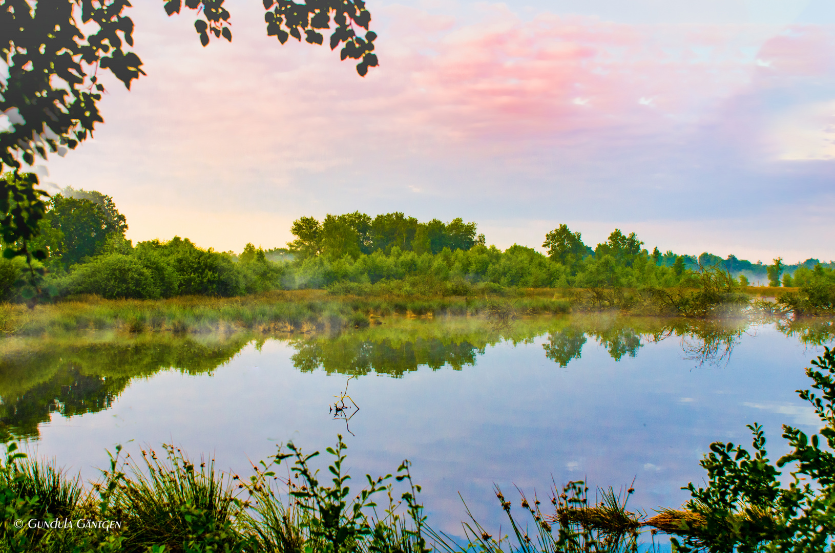 Morgens im Moor