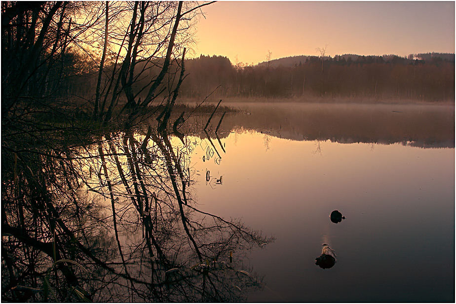 morgens im Moor II