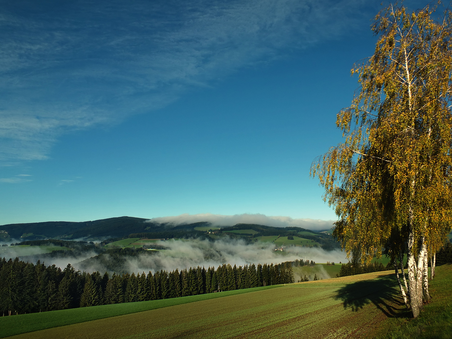 Morgens im Mürztal