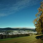 Morgens im Mürztal