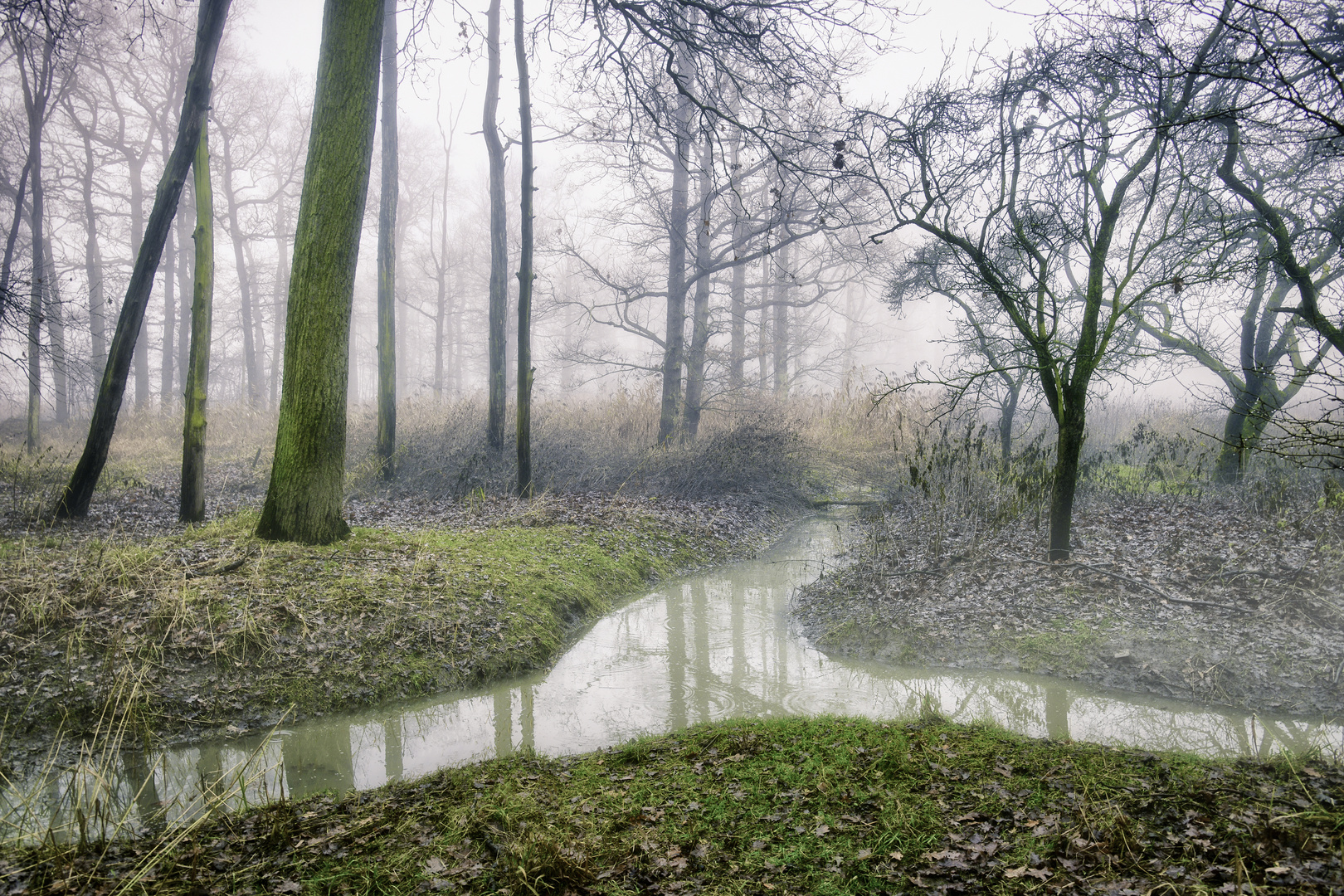 Morgens im Naturschutzgebiet