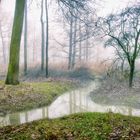 Morgens im Naturschutzgebiet