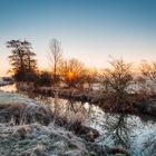 Morgens im Naturschutzgebiet 