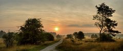 Morgens im Naturschutzgebiet