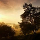 Morgens im Naturschutzgebiet