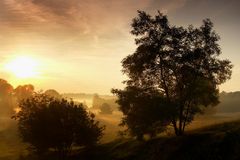 Morgens im Naturschutzgebiet