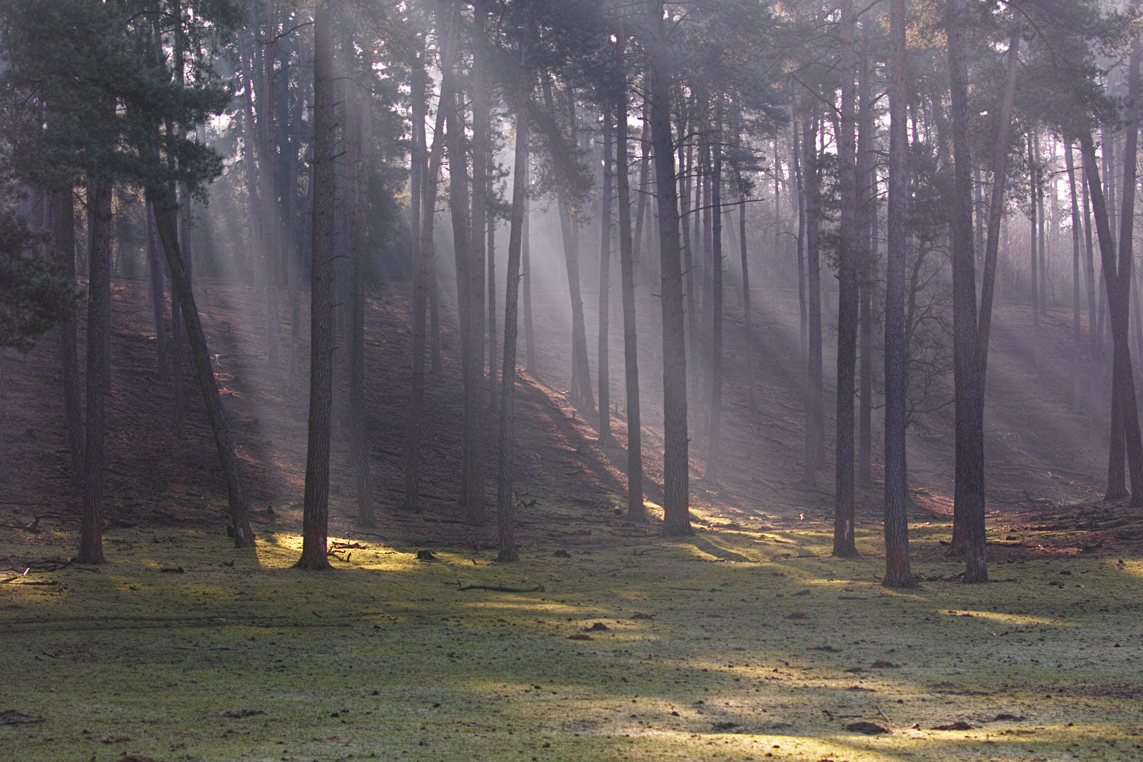 Morgens im Naturwildpark Granat