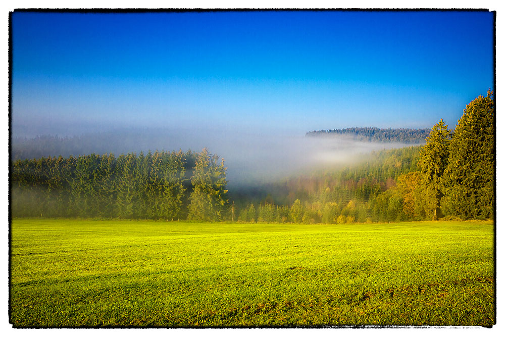 Morgens im Nebel