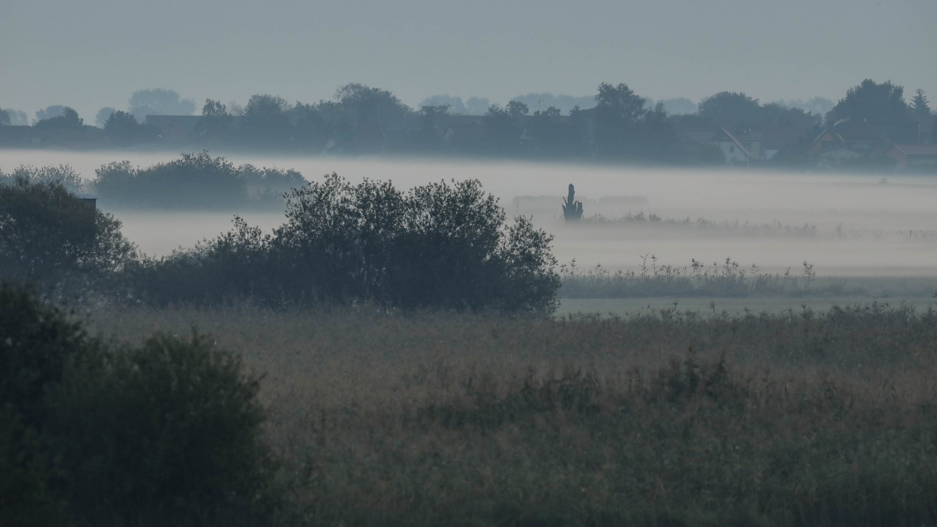 Morgens im Nebel